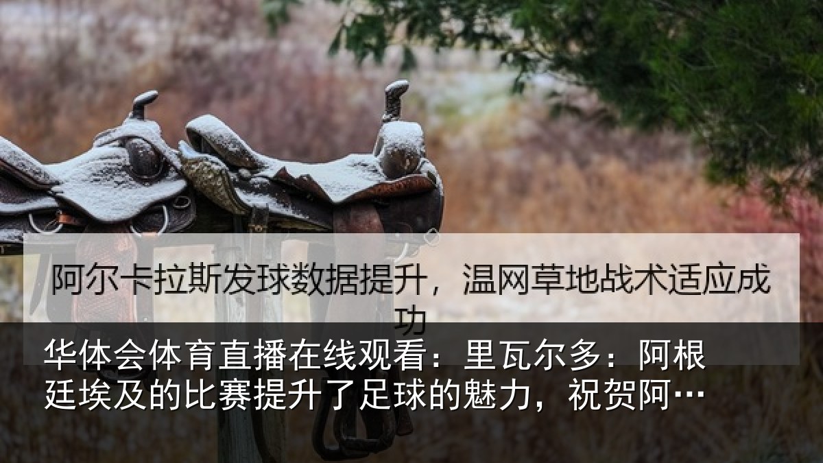 华体会体育直播在线观看：里瓦尔多：阿根廷埃及的比赛提升了足球的魅力，祝贺阿根廷