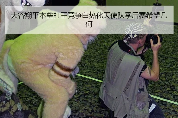 da-gu-xiang-ping-ben-lei-da-wang-jing-zheng-bai-re-hua-tian-shi-dui-ji-hou-sai-xi-wang-ji-he-3-402.jpg